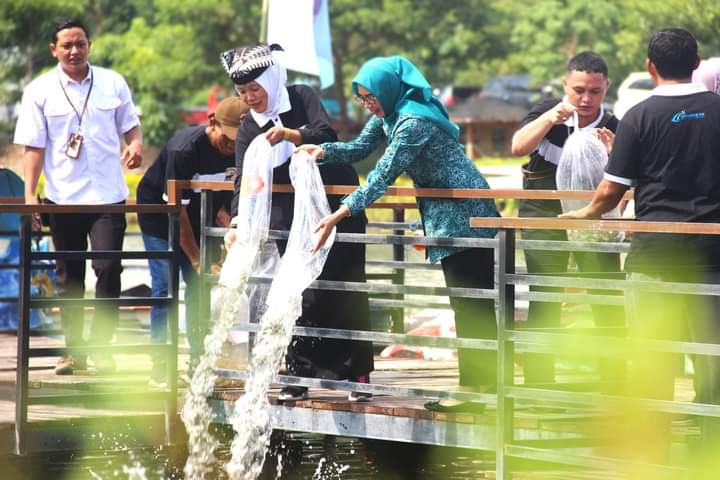 Img 20240601 Wa0201