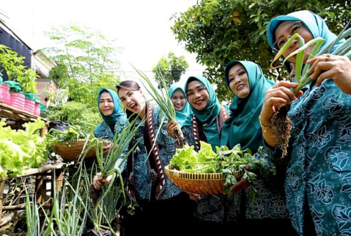 IMG 20251205 WA0012 copy 512x345