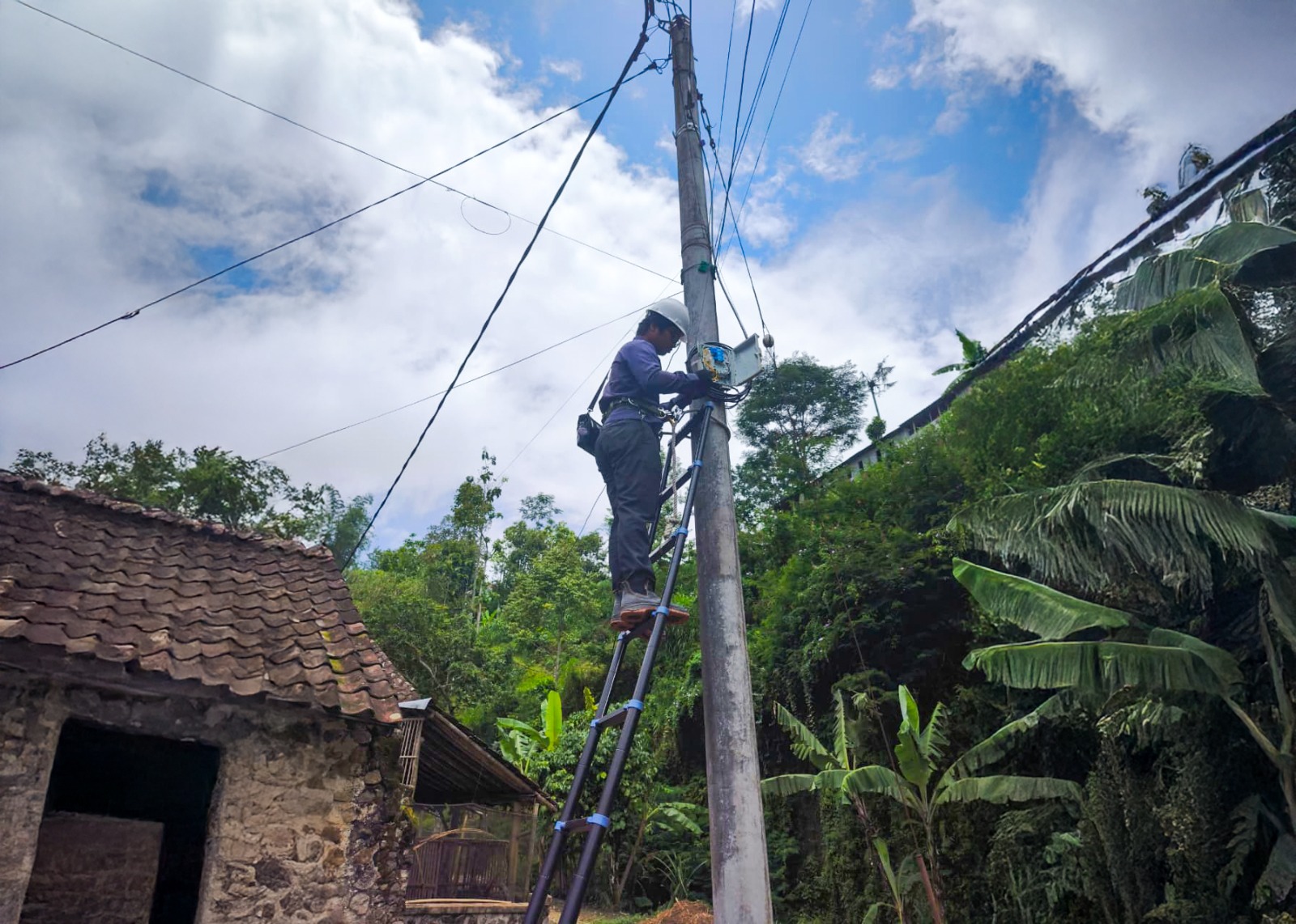 WhatsApp Image 2026 01 05 at 11.33.23