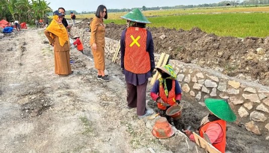 IMG 20260222 WA0036 copy 535x304