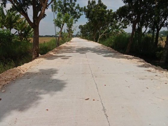 IMG 20260306 WA0085 copy 560x420