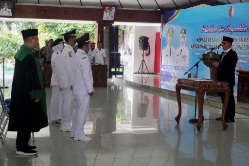 IMG 20260429 WA0070 copy 512x341